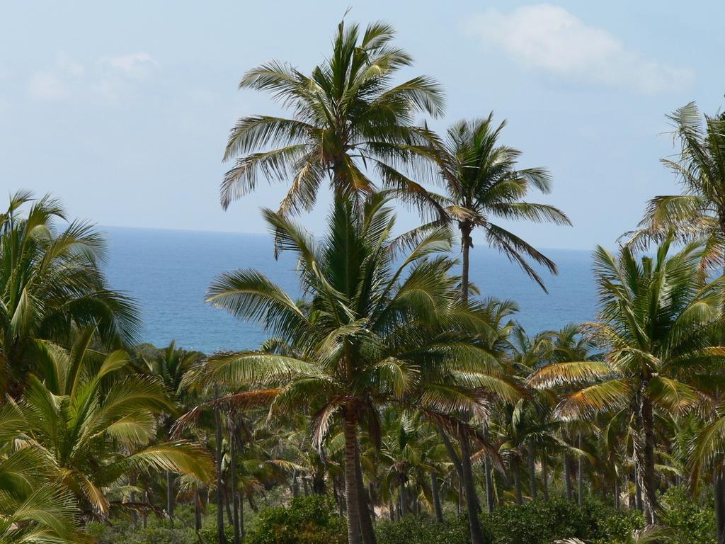Blue Moon Beach Holiday Resort Inhambane Rum bild
