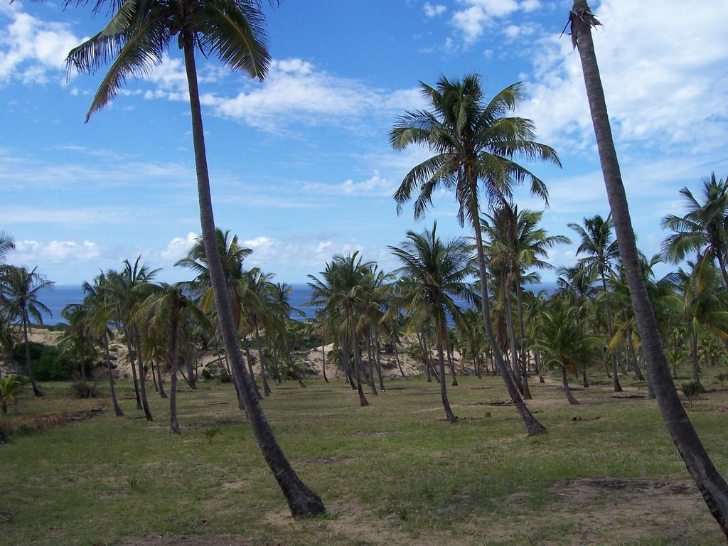 Blue Moon Beach Holiday Resort Inhambane Rum bild
