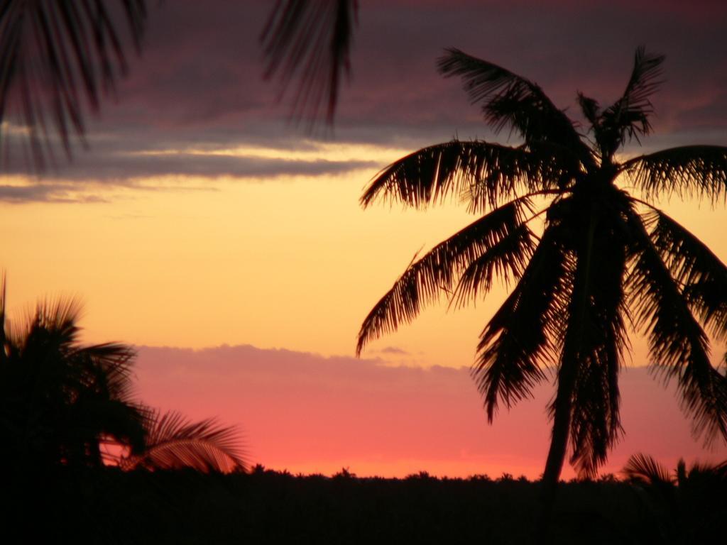 Blue Moon Beach Holiday Resort Inhambane Exteriör bild