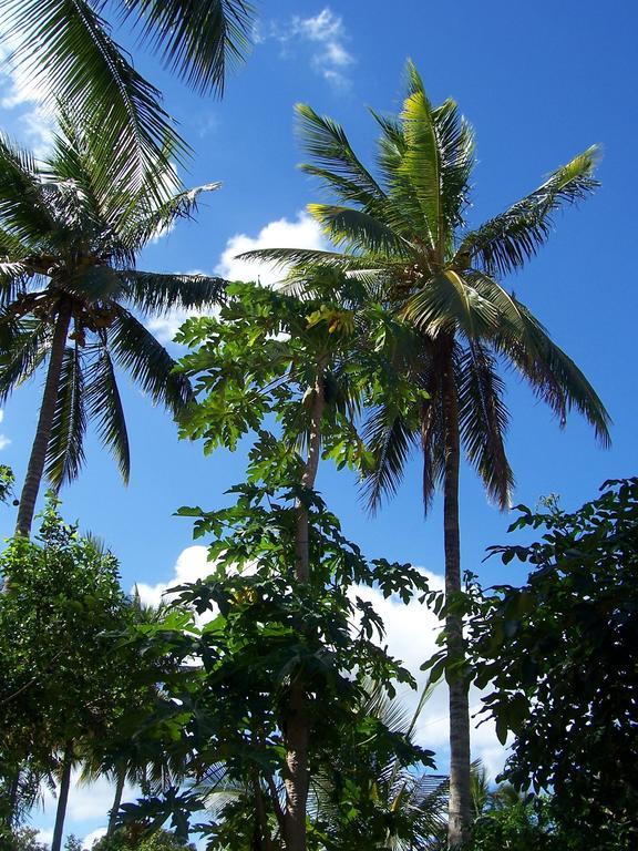Blue Moon Beach Holiday Resort Inhambane Exteriör bild