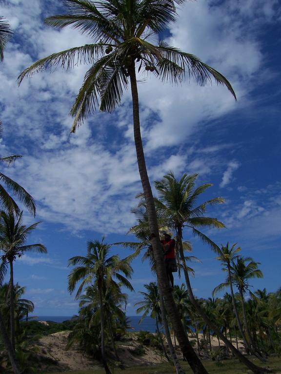 Blue Moon Beach Holiday Resort Inhambane Exteriör bild